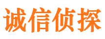 金凤市侦探公司